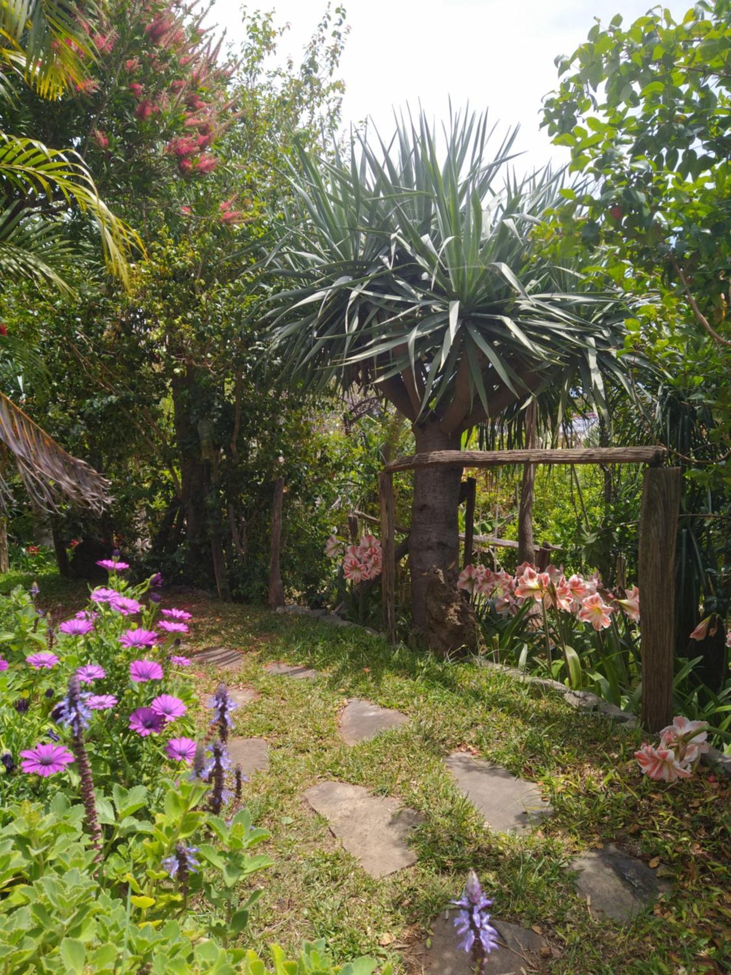 Biofuncho Garden Appartement *